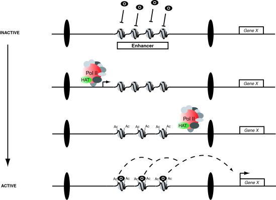 Fig 4.