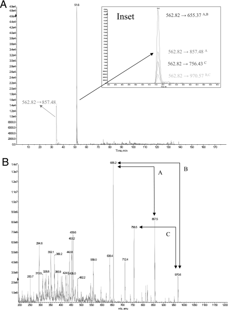 Fig. 5.