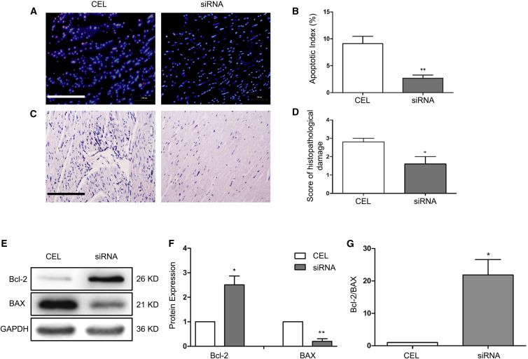 Figure 6