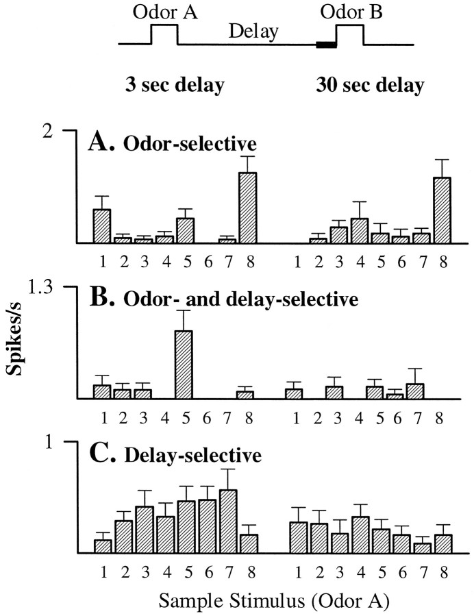 Fig. 12.