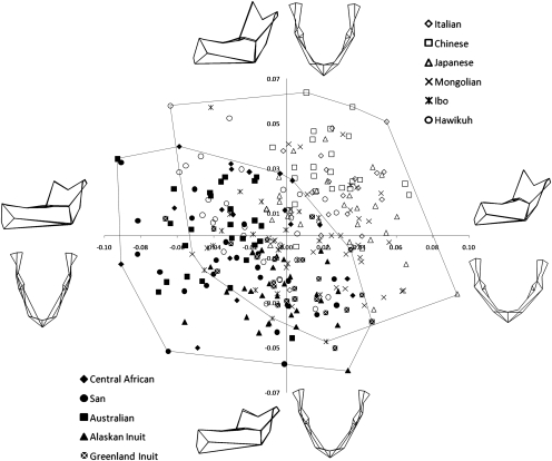 Fig. 3.