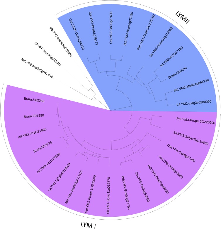 FIGURE 3