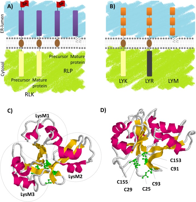 FIGURE 1