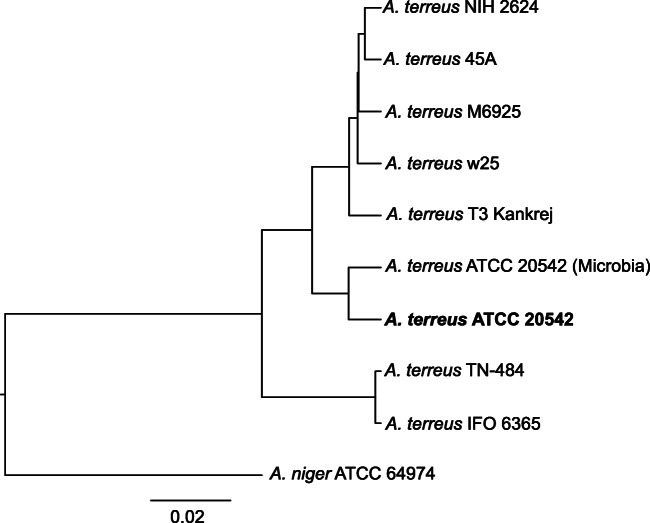 Fig. 2