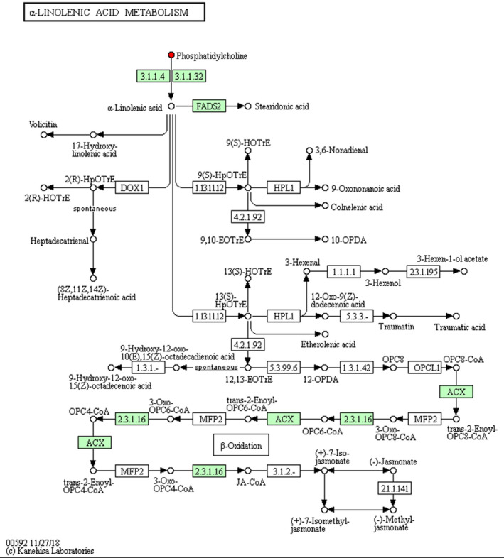 FIGURE 3