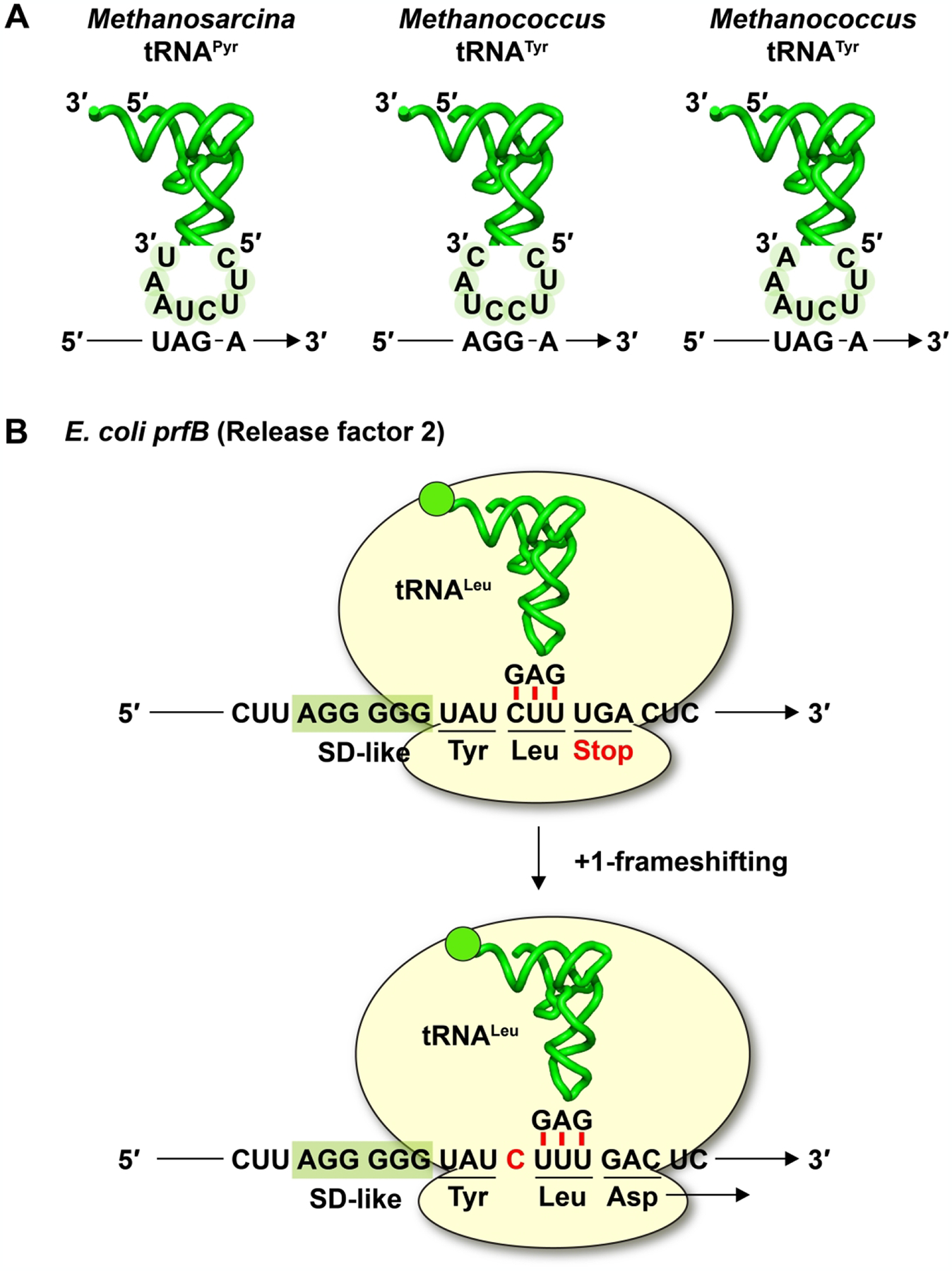 Figure 3.