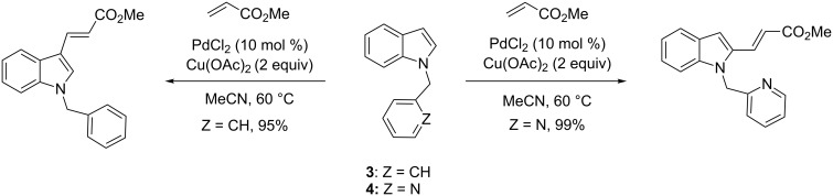 Scheme 5