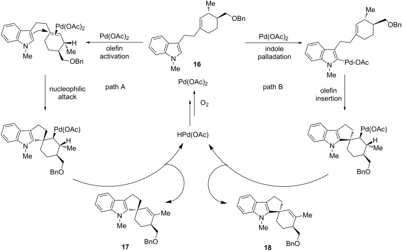 Scheme 13