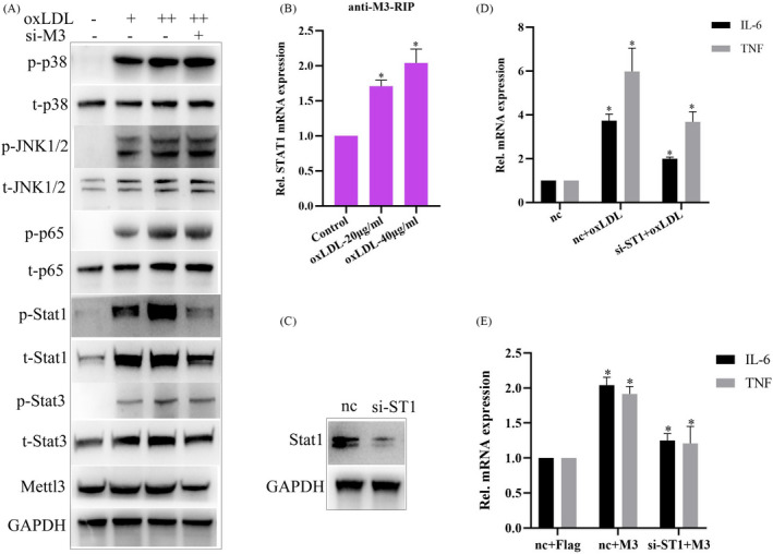 FIGURE 3