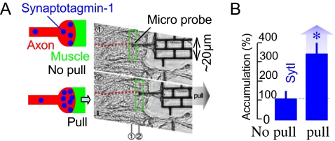 Fig. 4.