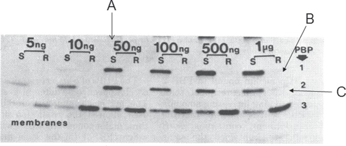 Figure 2.