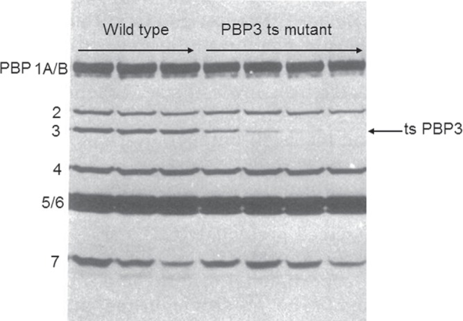 Figure 1.