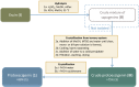 Scheme 3