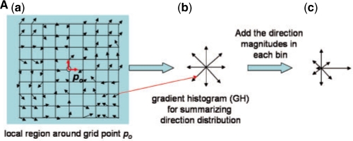 Fig. 3A.