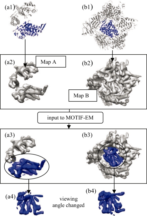 Fig. 8.