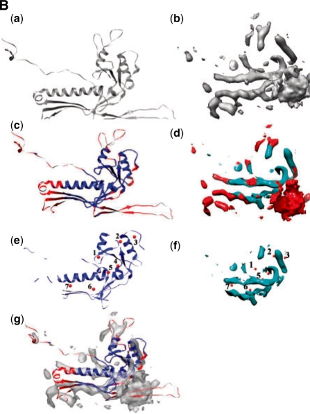 Fig. 11B.