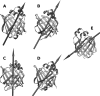 Fig 8