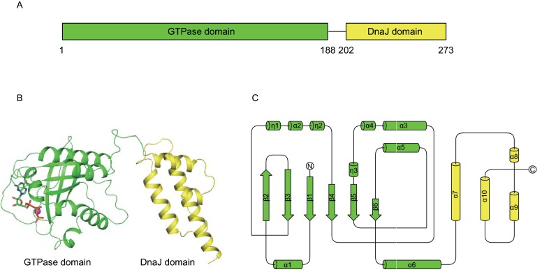 Figure 1