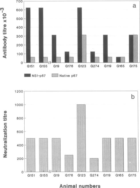 graphic file with name pnas01076-0072-a.jpg