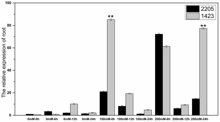 Figure 6