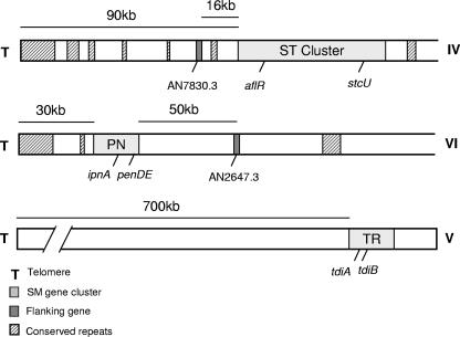 FIG. 1.