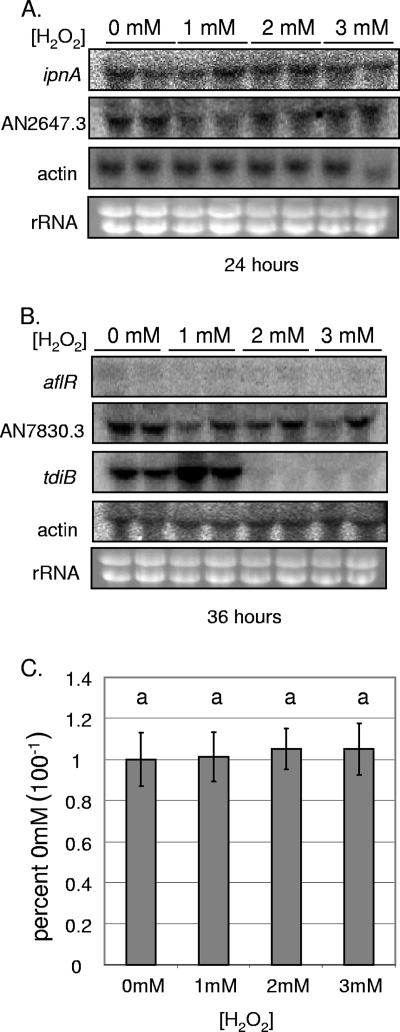 FIG. 5.