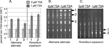 FIG. 7.