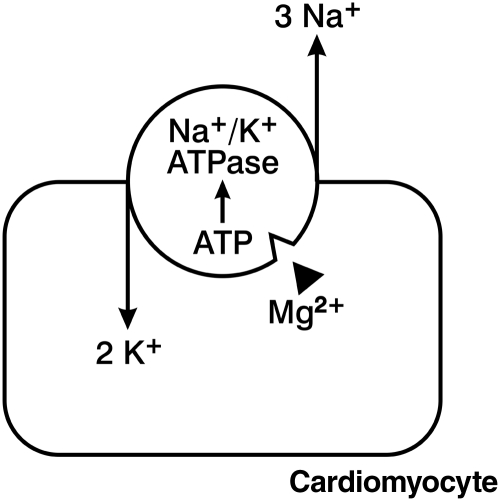 Figure 5