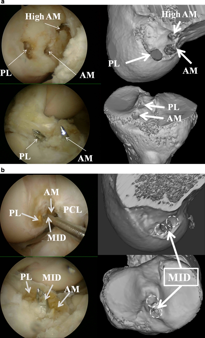 Fig. 3