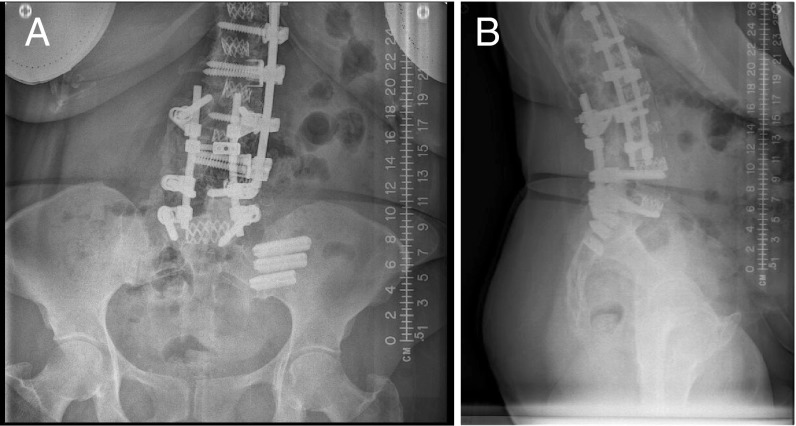 Fig. 7