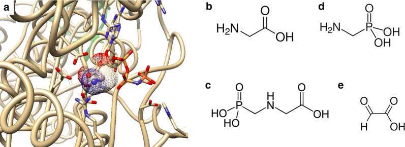 Fig. 1