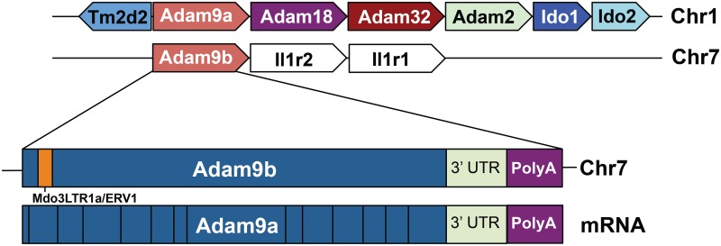 Fig 5