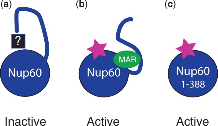 Fig. 9.