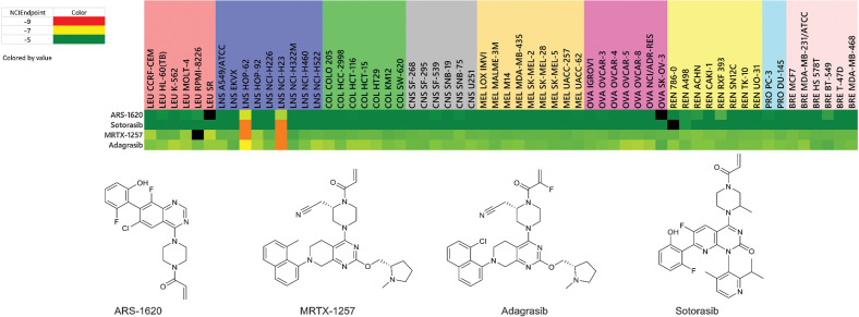 Figure 6. Heat maps for KRAS inhibitors. NCIEndpoint is color representation of GI50 values ranging from 10−9 M (red) to 10−5 M (green); cells are black when values were not obtained.