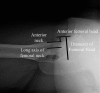 Fig. 19