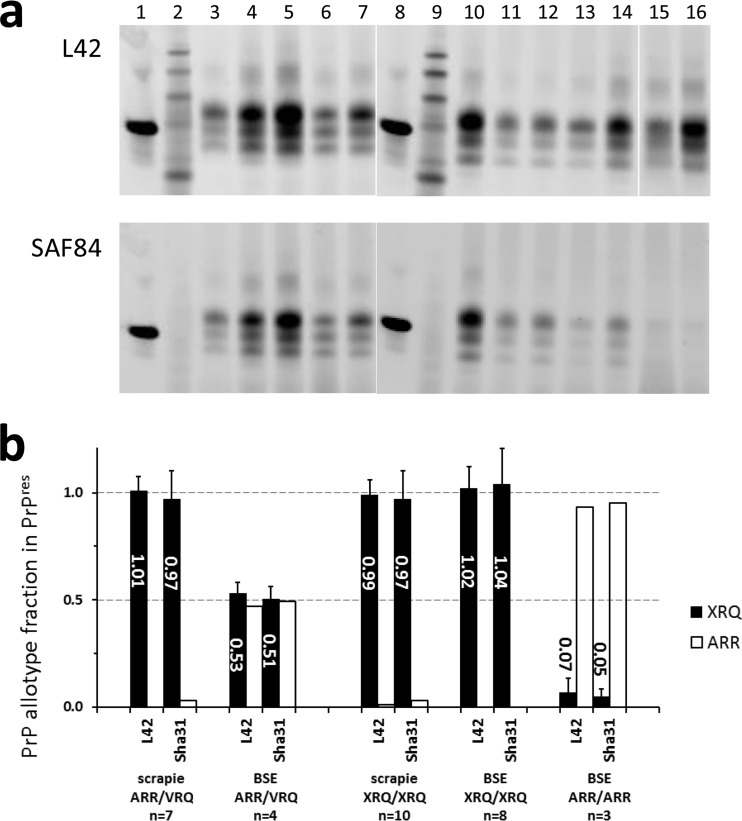 FIG 1