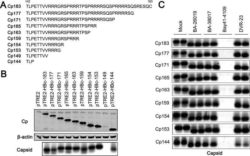 FIG 8