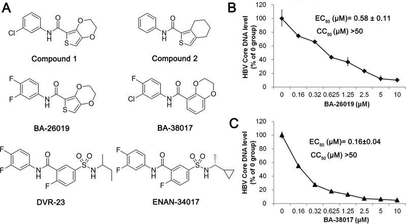 FIG 1