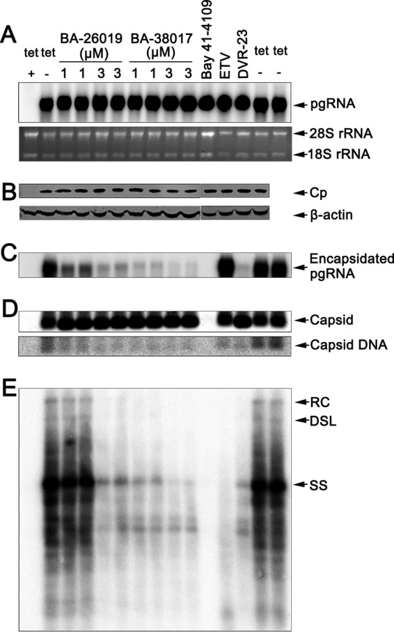 FIG 2