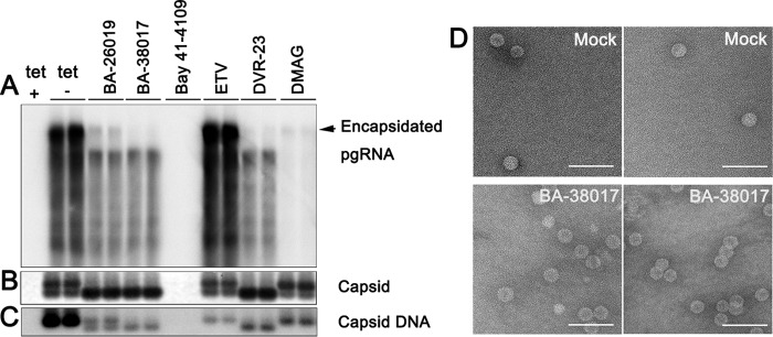 FIG 3