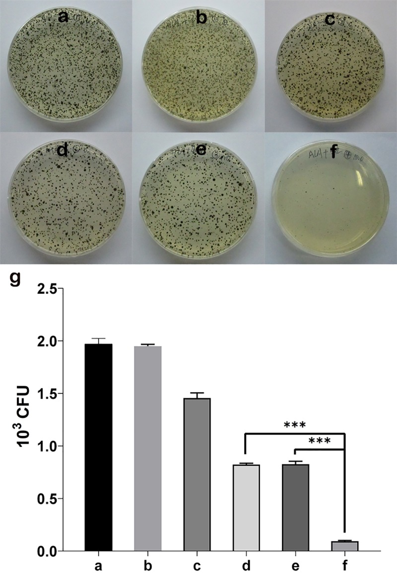 Fig 5