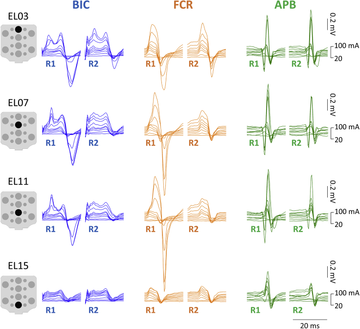 Figure 2