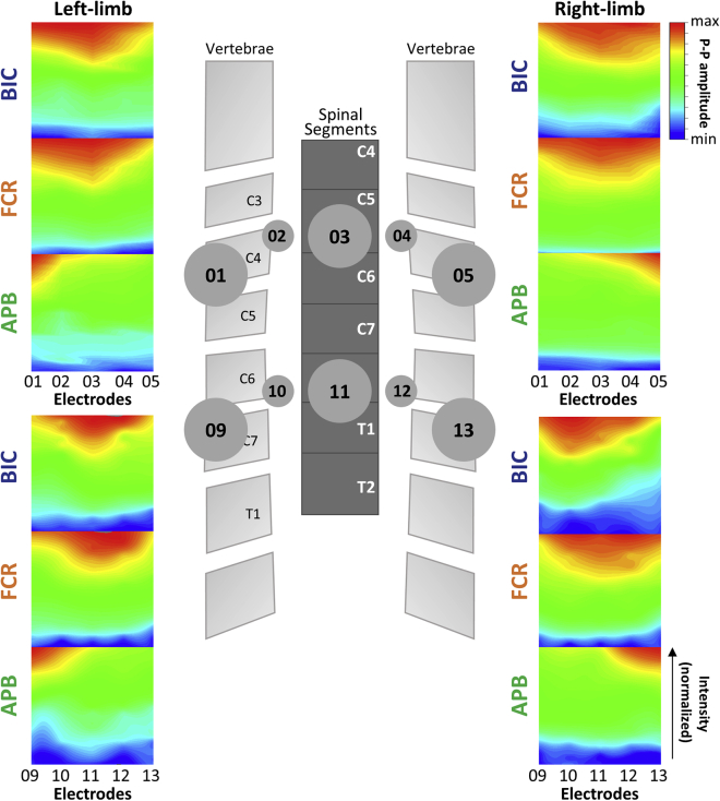 Figure 6