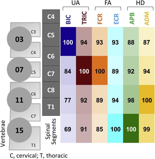 Figure 4