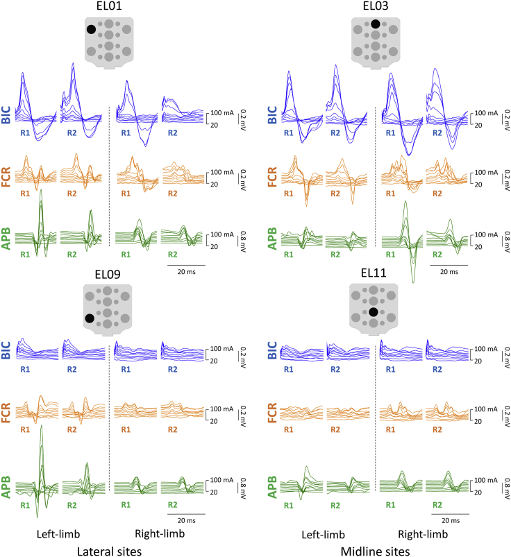 Figure 5