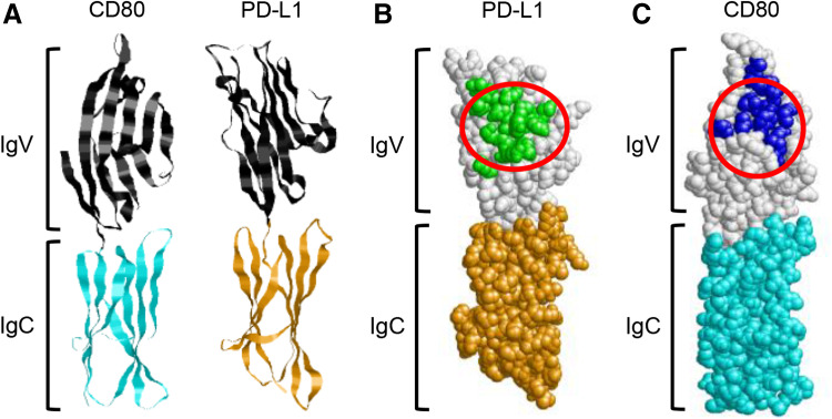 Fig. 2