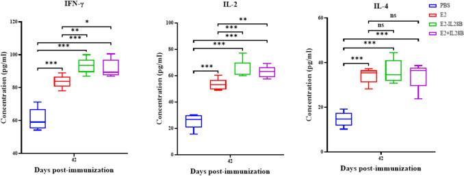Enhancement of immune responses to classical swine fever virus E2 in ...