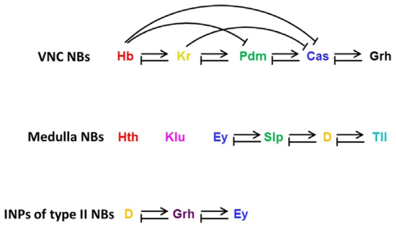 Figure 3.4