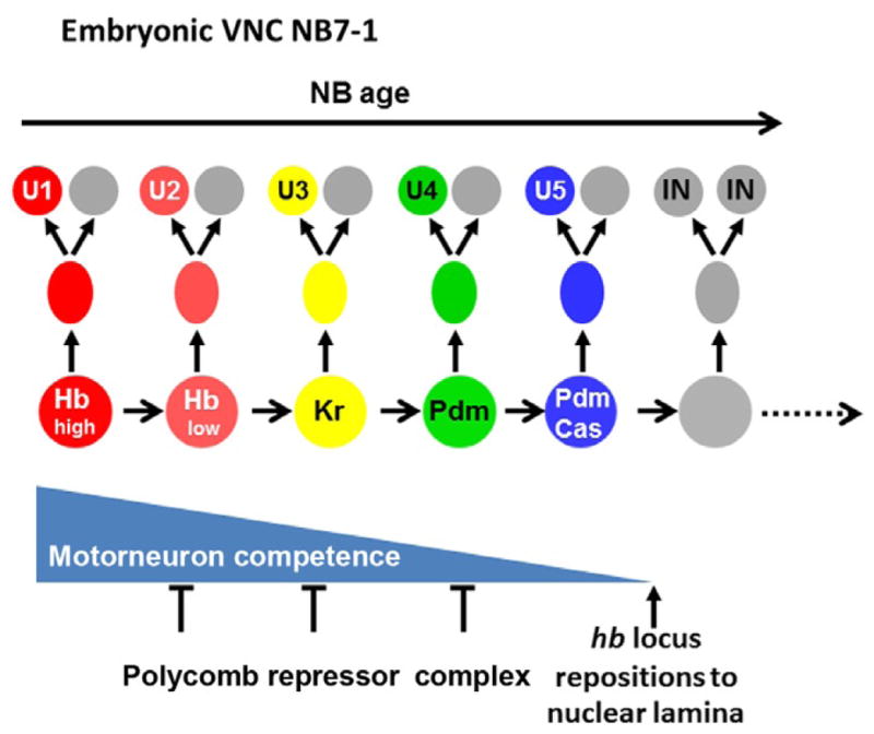 Figure 3.1