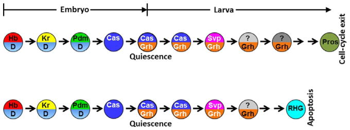 Figure 3.6